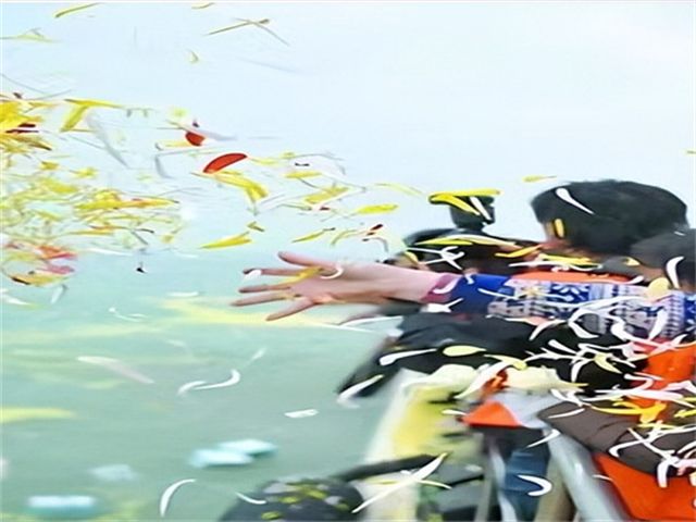 文章标题