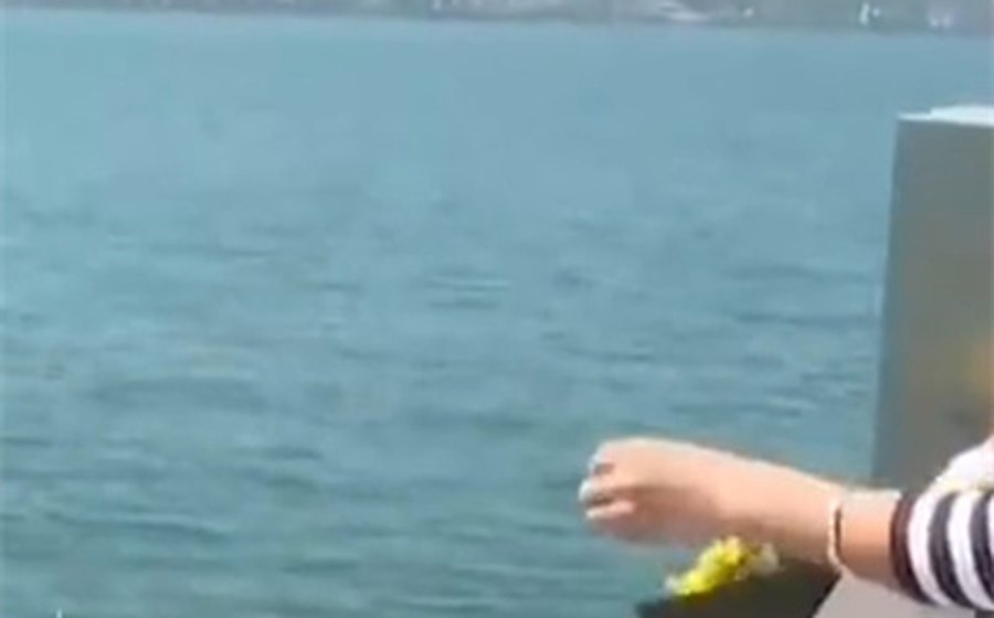 家属撒花送别