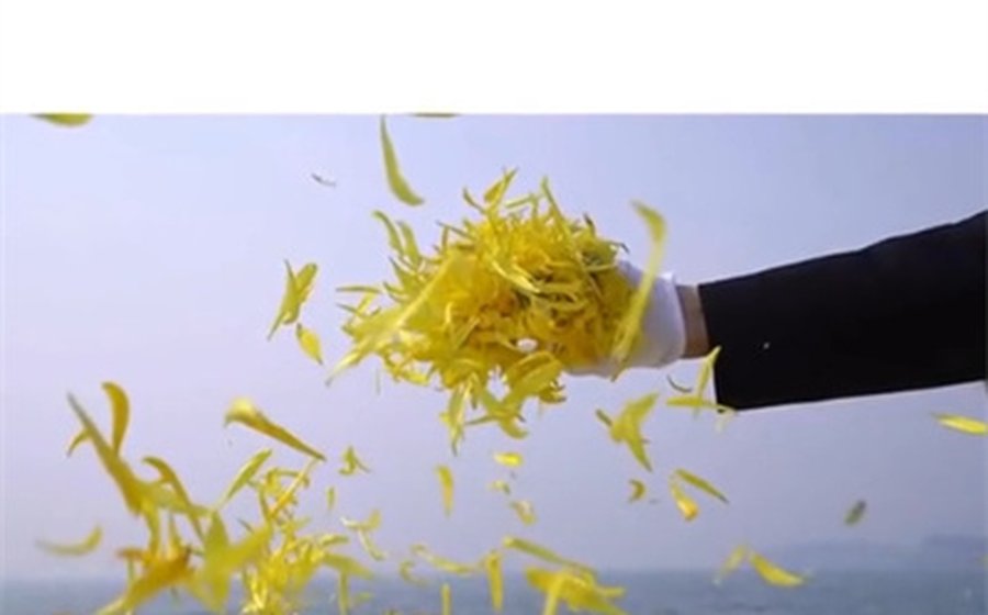 鲜花撒海瞬间