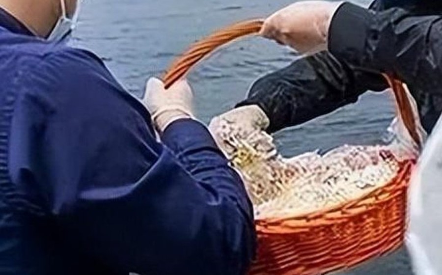 航次准备 · 鲜花与贡品