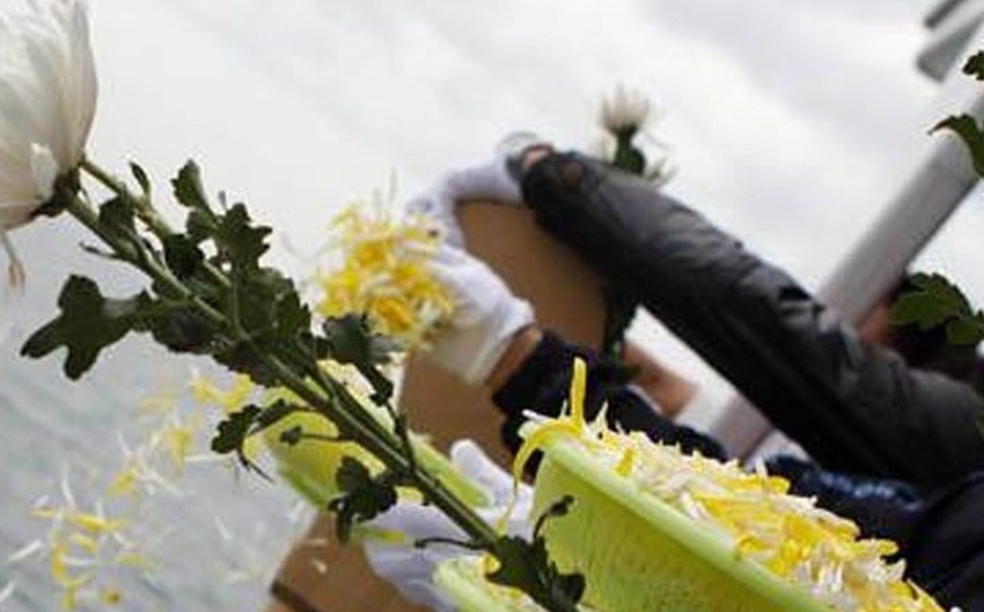 菊花与花瓣装点船舷